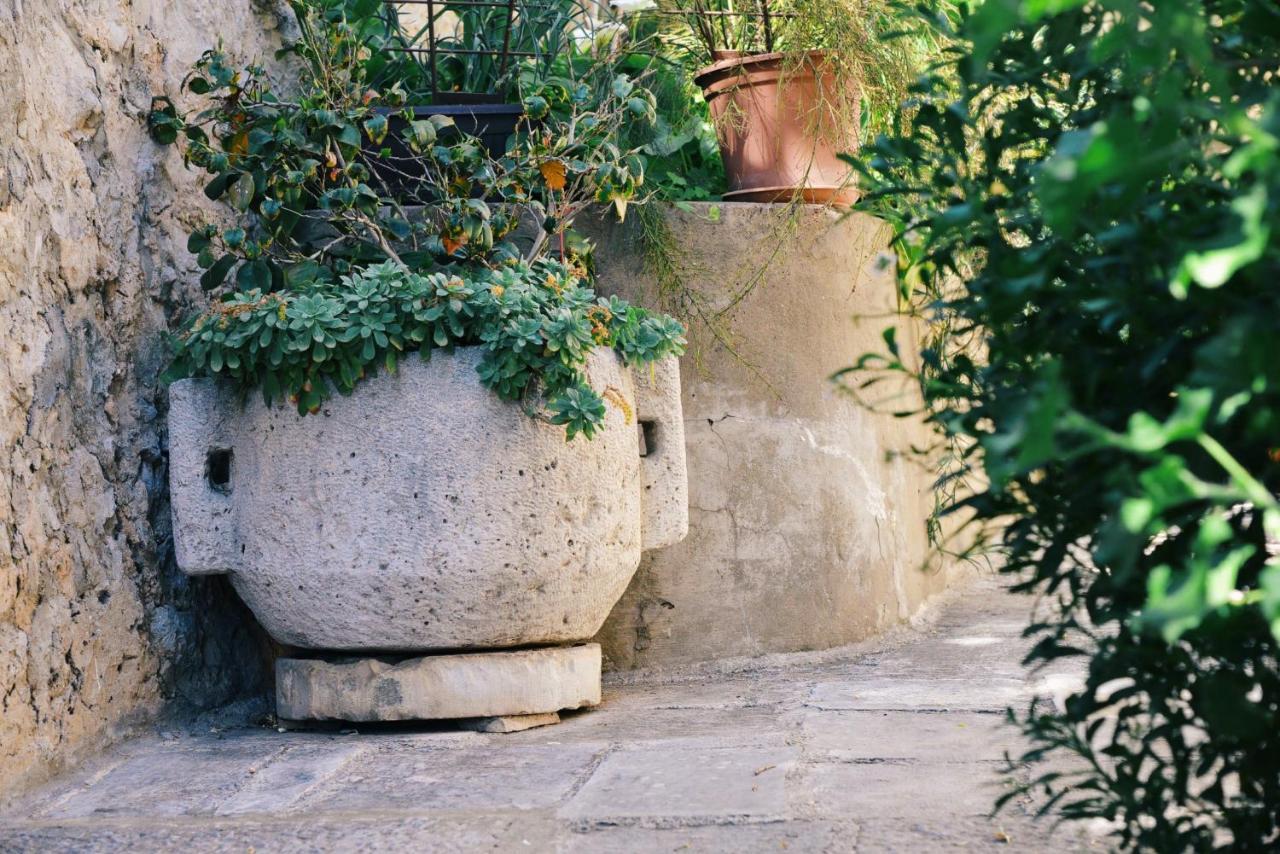 Guesthouse Manda Dubrovnik Exterior photo